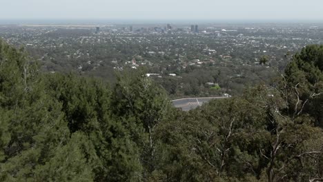 Grüner-Wald-Mit-Blick-Auf-Das-Stadtbild-Der-Innenstadt-Von-Adelaide-In-Südaustralien