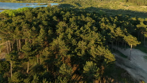 Imágenes-De-Drones-Del-Parque-Nacional-Kennemerland-Y-Vogelmeer-En-Los-Países-Bajos-Con-Puesta-De-Sol