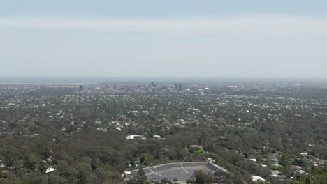 Pine-Trees-On-Valley-Revealed-Vast-Urban-Landscape-Of-Adelaide-City-In-South-Australia