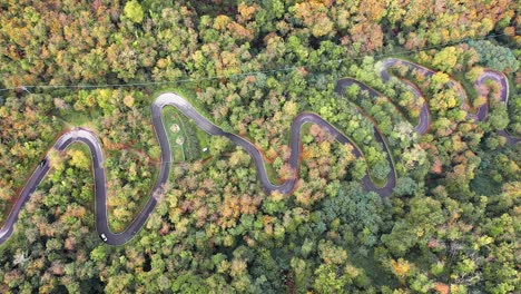 Aerial-drone-view-of-cars-driving-on-a-curvy-forest-road-through-an-idyllic-autumn-forest-with-stunning-fall-colors---4k-Italy