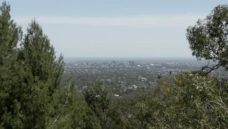 Colina-Del-Bosque-Con-Panorama-Del-Paisaje-Urbano-De-Adelaide-En-Australia