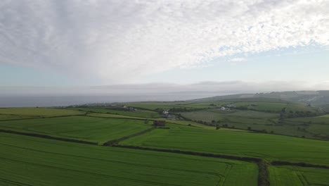 Campos-Agrícolas-Verdes-Costeros-Ventosos-En-La-Neblina-De-La-Tarde-De-Verano-En-Irlanda