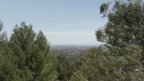 Dense-Trees-On-The-Hill-Revelead-Cityscape-Of-Adelaide-In-Australia
