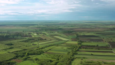 Aerial:-crops-growing-in-remote-Serbian-countryside,-flat-farmland-landscape