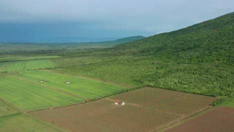 Luftaufnahme:-Abgelegenes-Ackerland-Auf-Grünem,-Grünem,-Europäischem-Hügel