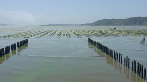Rows-Of-Oyster-Baskets-At-The-Oyster-Farm-At-North-Britanny-Near-Cap-Frehel-In-France