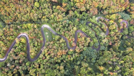 Aerial-drone-view-of-cars-driving-on-a-curvy-forest-road-through-an-idyllic-autumn-forest-with-stunning-fall-colors