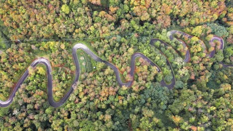 Aerial-drone-view-of-cars---vans-driving-on-a-curvy-forest-road-through-an-idyllic-autumn-forest-with-stunning-fall-colors---4k-Italy