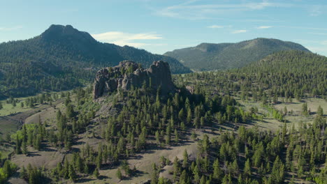 Aerial-Drone-Scenic-Landscape-Flying-through-Pine-Tree-Forest-in-Colorado-Rocky-Mountains