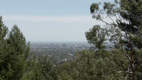 Bäume-Vom-Hügel-Mit-Blick-Auf-Die-Stadtlandschaft-Von-Adelaide-In-Australien