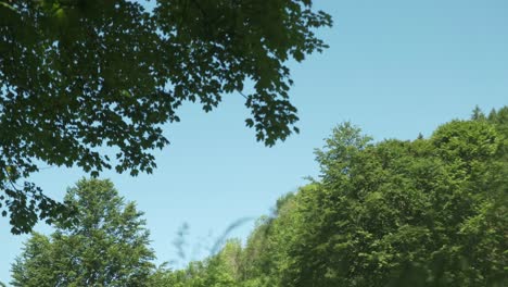 Entspannender-Windiger-Frühlingstag-Mit-Sich-Bewegenden-Grünen-Bäumen-Und-Blauem-Himmel-4k