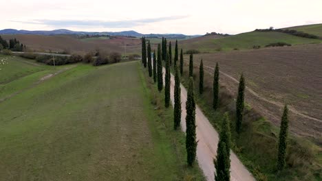 aerial-view-of-amazing-landscape-scenery-of-Tuscany-in-Italy,-cypress-trees-along-white-road