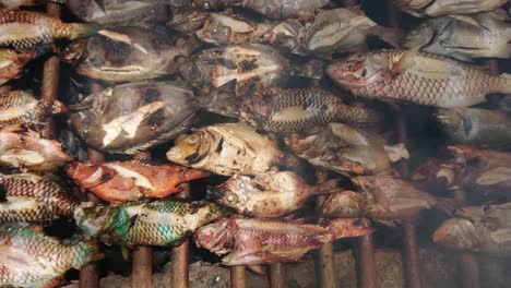 Verschiedene-Meeresfische,-Gegrillt-Auf-Traditionellem-Grill-Mit-Rauch