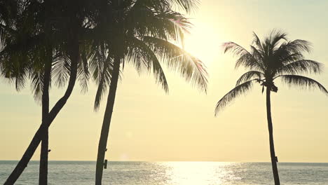 Schöne-Filmische-Palmensilhouette-Bei-Sonnenuntergang,-Kopierraumvorlage