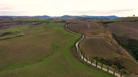 Tuscany-countryside-aerial-shot-with-drone-at-sunset-time---hills-fields,-vineyards,-cypress-trees-along-white-road