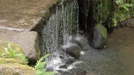 Friedlicher-Wald-Zen-Wasserfall-Zeitlupe-Frische-Fließende-Wasserkaskade-Steigende-Vogelperspektive