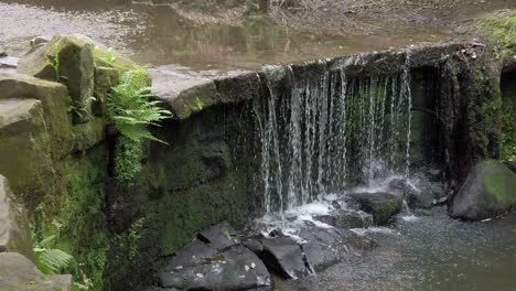 Friedlicher-Wald-Zen-Wasserfall-Zeitlupe-Frisch-Fließendes-Wasser-Kaskadenpfanne-Rechts-Zeitlupe