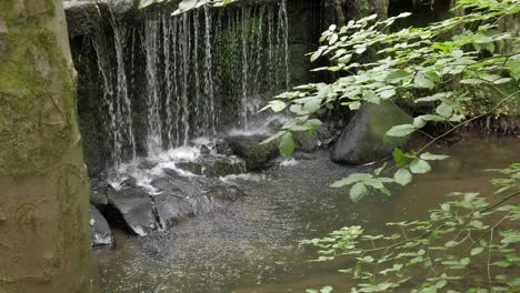 Friedlicher-Wald-Zen-Wasserfall-Zeitlupe-Frisch-Fließendes-Wasser-Kaskade-Rechts-Dolly-Offenbaren