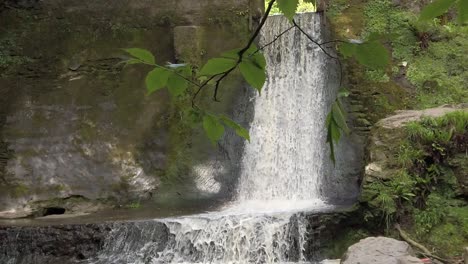 Peaceful-woodland-forest-splashing-waterfall-slow-motion-flowing-paradise-wilderness-dolly-right-under-leaves