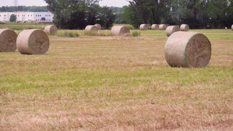 Many-Bales-of-Hay-in-the-Countryside-in-Spring-Time-in-Italy