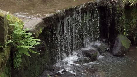 Peaceful-forest-zen-waterfall-slow-motion-fresh-flowing-water-cascade-slow-motion-left-top-down-shot