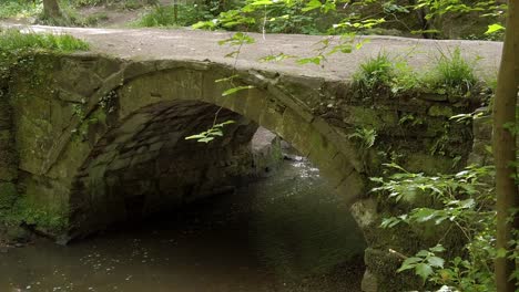 Peaceful-old-forest-stone-bridge-over-lush-hiking-woodland-trails-stream-slow-right-scene