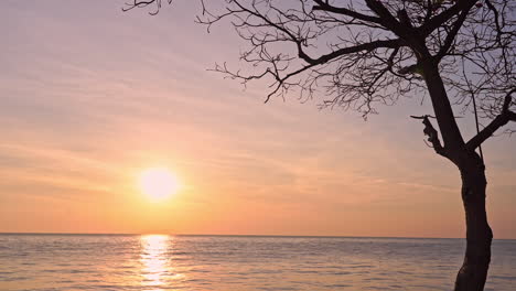 Silhouette-Eines-Baumes-Ohne-Blätter-In-Der-Nähe-Des-Meeres-Bei-Goldenem-Sonnenuntergang,-Sonnenreflexion-In-Der-Meerwasseroberfläche-In-Italien