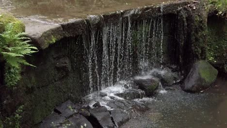 Friedlicher-Wald-Zen-Wasserfall-Zeitlupe-Frisch-Fließendes-Wasser-Kaskade-Zeitlupe-Links-Dolly
