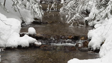 Water-Flowing-Between-Snowy-Trees-At-Kokanee-Creek-Provincial-Park-At-Wintertime-In-BC,-Canada