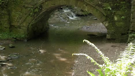 Peaceful-old-forest-stone-bridge-over-lush-hiking-woodland-trails-stream-tilt-up
