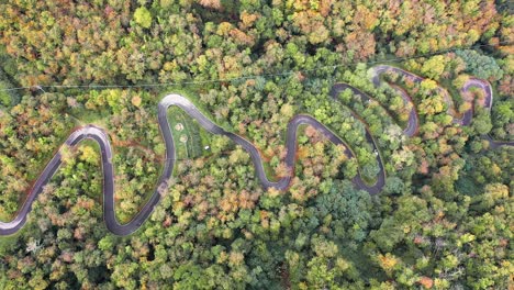 Van-on-curved-road-among-countryside-trees-during-autumn