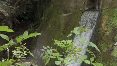 Friedlicher-Waldwald,-Der-Wasserfall-In-Zeitlupe-Spritzt,-Fließende-Paradieswildnis,-Die-Nach-Rechts-Unten-Schwenkt