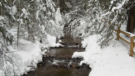 Kokanee-Creek-Rodeado-De-Un-Paisaje-Helado-En-El-Parque-Provincial-Kokanee-Creek,-Columbia-Británica,-Canadá