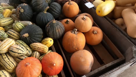 Slow-motion-shot-of-fall-squash-and-pumpkins-at-a-farmer's-market