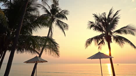 Strandschirme-Und-Palmensilhouette-Am-Goldenen-Sonnenuntergang-Am-Meer-In-Miami