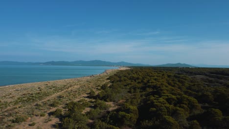 Cinematic-aerial-footage-of-the-natural-savannah-and-lagoon-in-the-pine-tree-forest-at-a-sandy-empty-beach-seaside-in-the-iconic-Maremma-National-Park-in-Tuscany,-Italy-near-Grosseto