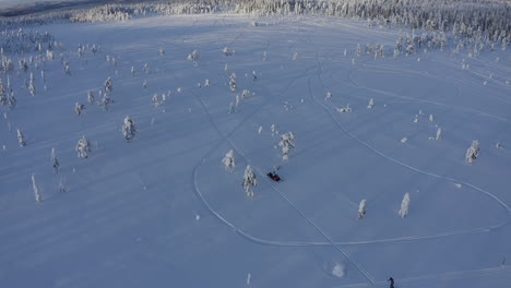 Toma-Aérea-De-Drones-Al-Atardecer-De-Un-Viajero-Montando-Una-Moto-De-Nieve-En-La-Naturaleza-De-Suecia