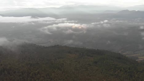 Pull-front-with-drone-above-forest-in-a-cloudy-sunrise-in-Colombia