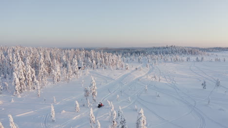 Drone-shot-of-a-snowmobile-on-a-track-in-the-deep-woods-during-a-cold-winter-in-Sweden