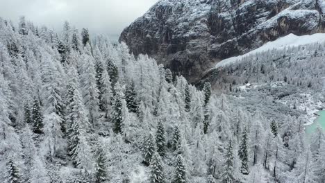 Luftaufnahme-Des-Verschneiten-Kiefernwaldes