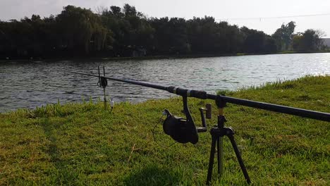 Low-view-of-a-fishing-rod-with-a-line-in-the-water-overlooking-a-calm-pond