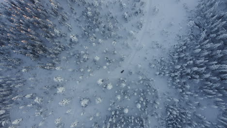 Vista-Superior-De-Un-Dron-De-Una-Moto-De-Nieve-En-Un-Bosque-Durante-Una-Fría-Temporada-De-Invierno-En-Suecia