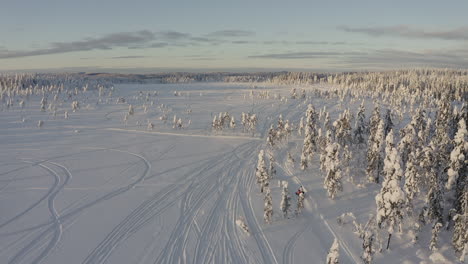 Winterwaldnatur-In-Schweden