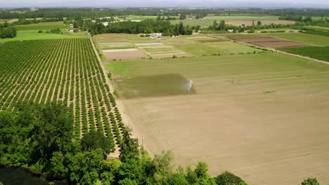 Flying-Towards-Evergreen-Farmland-With-Sprinkler-On-Fields-At-Daytime
