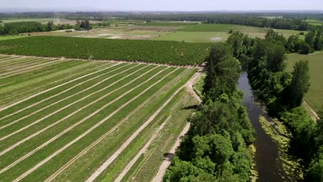 Landschaft-Mit-Großem-Landwirtschaftlichen-Betrieb-Am-Ruhigen-Fluss-Im-Sommer