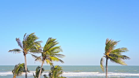 Kokospalmen,-Die-Sich-Unter-Starkem-Wind-über-Das-Meer-Und-Den-Hintergrund-Des-Blauen-Himmels-Beugen,-Und-Tageszeitlupe-Statisch