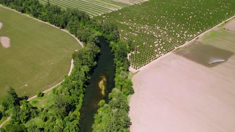 Panorama-De-Una-Tierra-Agrícola-Con-Cultivos-De-Plantación-Entre-Un-Río
