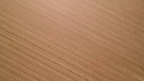 Aerial-View-Of-Vast-Rural-Fields-On-Countryside-During-Harvest-Season