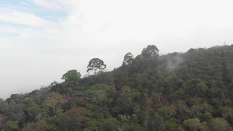 Tire-Del-Frente-E-Incline-El-Carro-Sobre-Los-árboles-Y-La-Niebla-En-Una-Mañana-Nublada