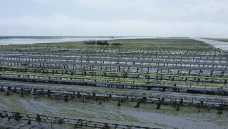 Oyster-Beds-During-Low-Tide-In-An-Oyster-Farm-In-Brittany,-France